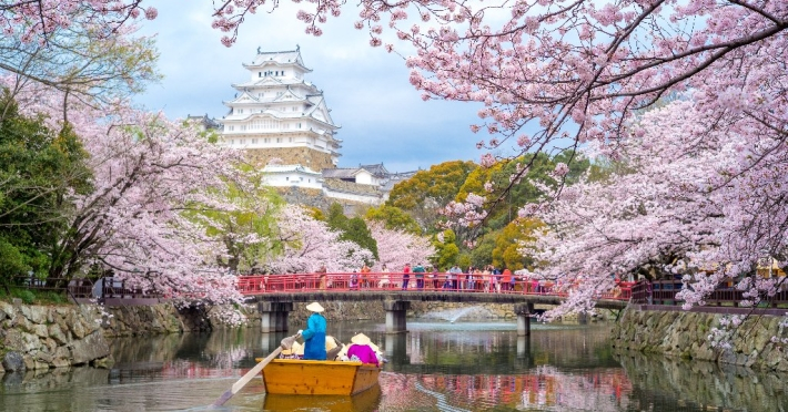 japonia-2021-sarbatoarea-ciresilor-in-floare_14_4404_1.jpg